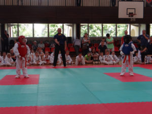 3rd INTERNATIONAL INTEGRATION KYOKUSHIN KARATE CUP IN MEMORY OF SOSAI MAS OYAMA 01