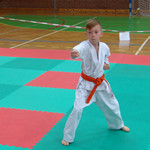 karate tom lub 19