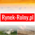 rynek rolny logo