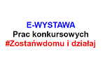 Bez tytułu 3