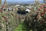 Image00001 8