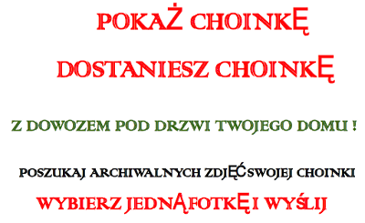 Pokaż choinkę – dostaniesz choinkę – konkurs gminny